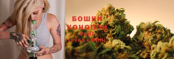 PSILOCYBIN Верея